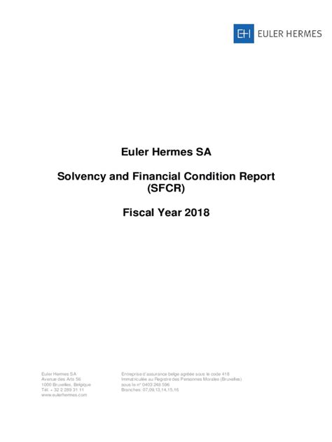 euler hermes annual report|solvency ii allianz.